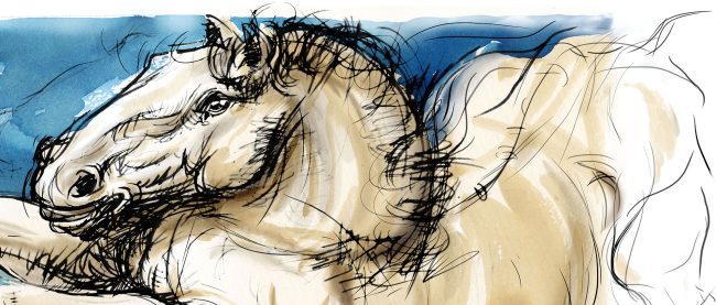 AUDITORIUM SAN PAOLO